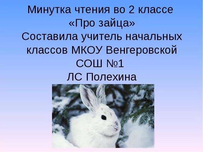 Сообщение про зайца. Рассказать о зайце. Рассказ про зайца. Заяц для презентации. Доклад про зайца.