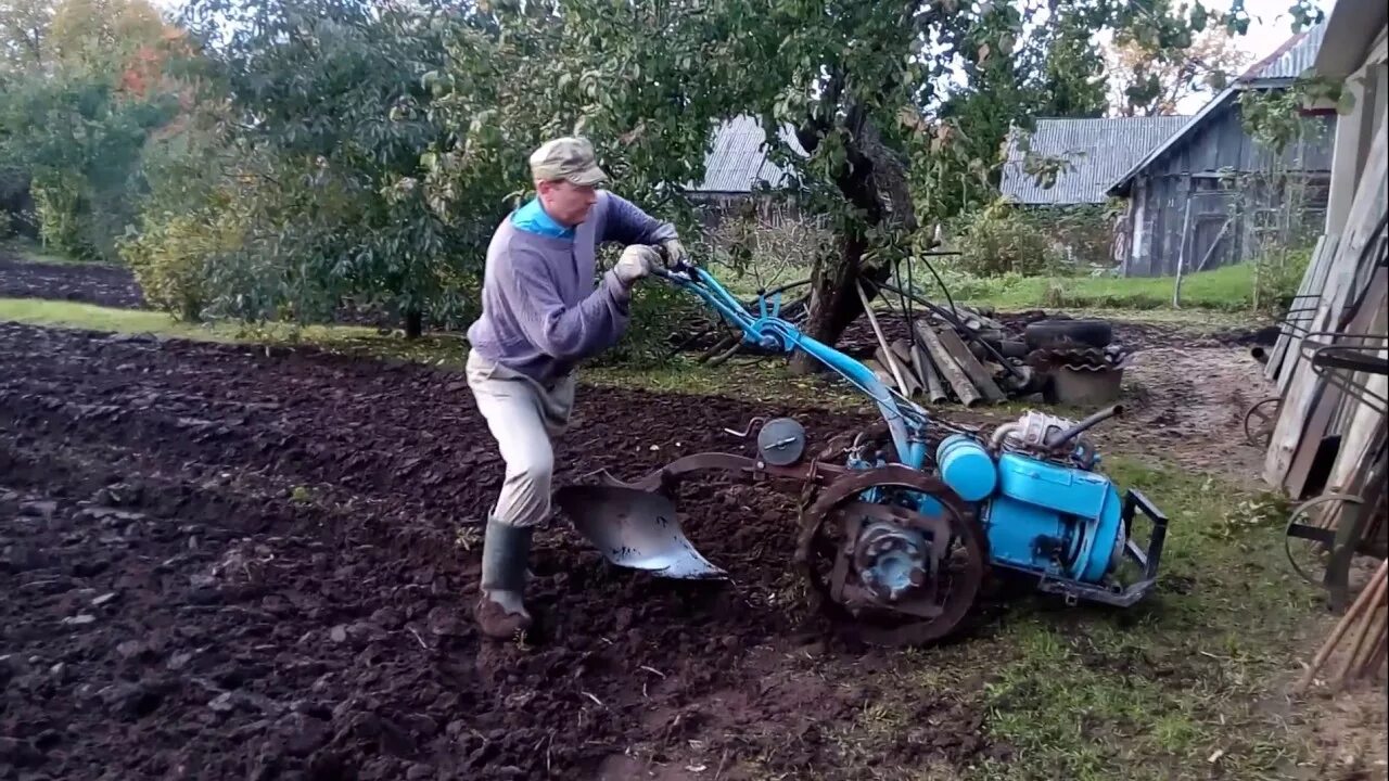 Пашем мотоблоком в развал. Как пахать мотоблоком. Навоз на мотоблоки. Вспашка земли мотоблоком МТЗ видео. Вспашка мотоблоком видео