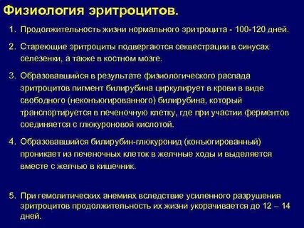 Физиология роль