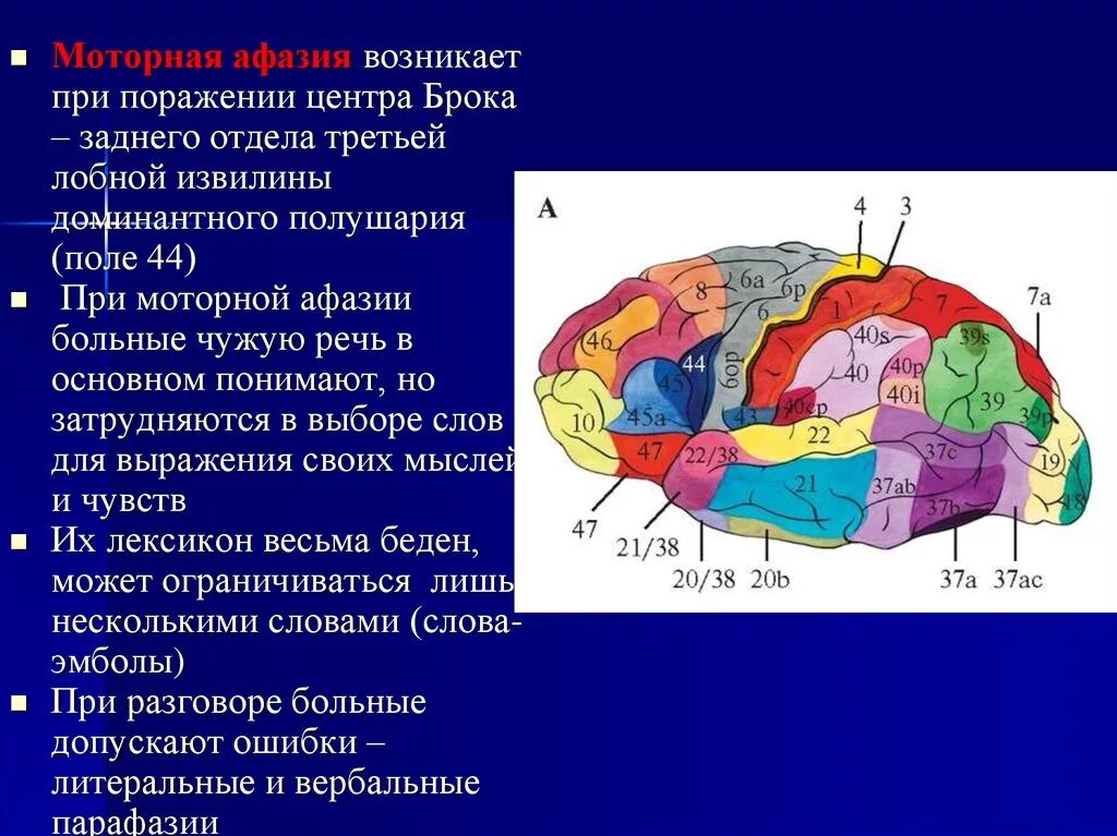 Очаги в коре головного мозга. Моторная афазия центр Брока. Зона Брока и Вернике афазия. Поражение мозга при моторной афазии. Сенсорная корковая афазия Брока-Вернике.