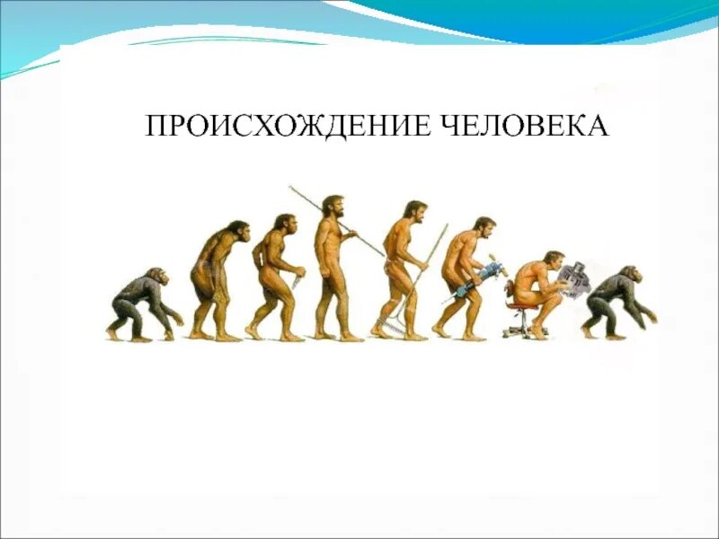 Как появился человек биология 5. Происхождение человека. Появление человека. История происхождения человека. Эволюция человека.