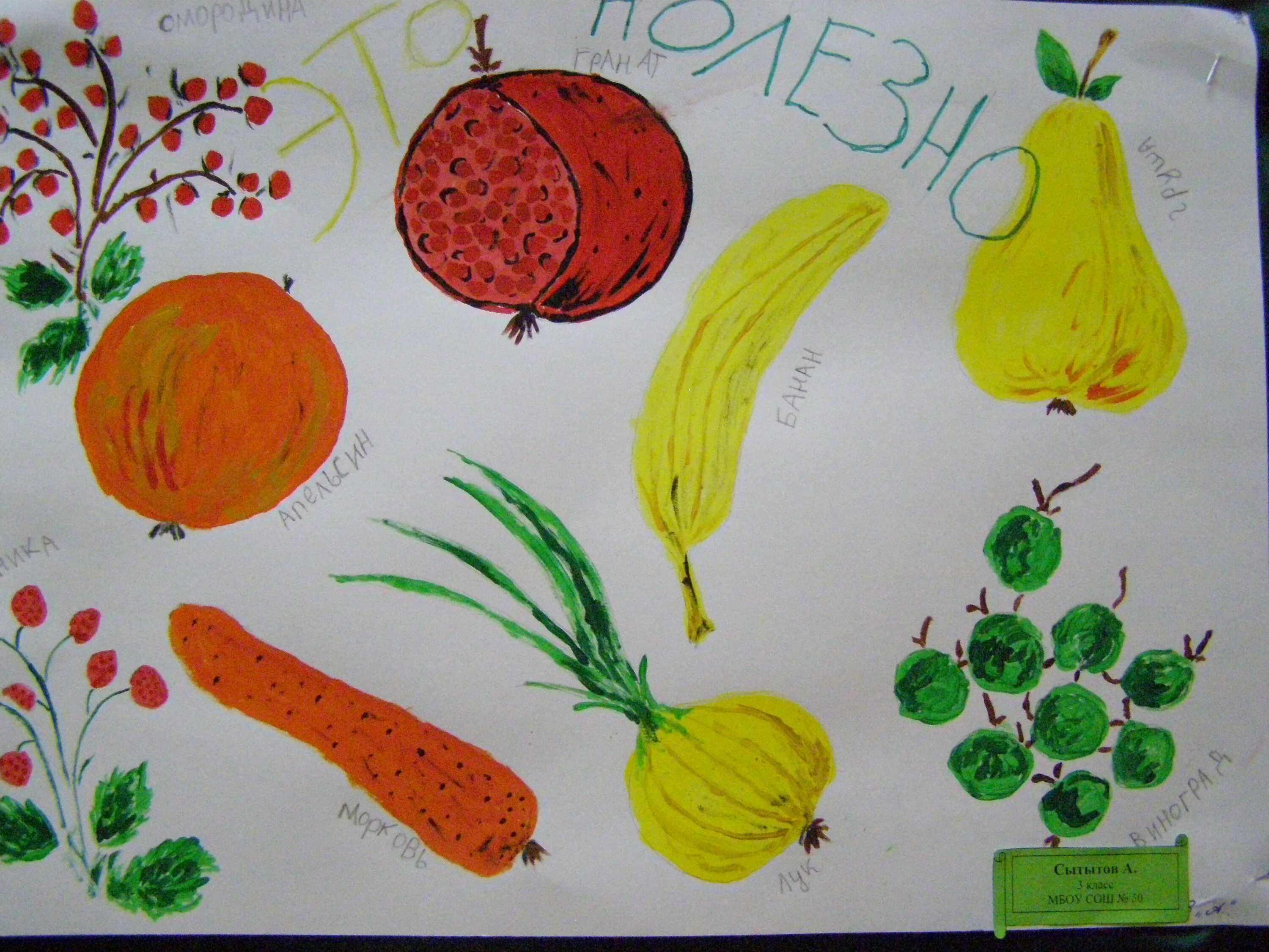 овощи фрукты полезные продукты рисунок в школу. рисунок на тему витамины. рисунки на тему здорового питания для детей. овощи фрукты полезные продукты рисунок в школу. рисование на тему здоровое питание.