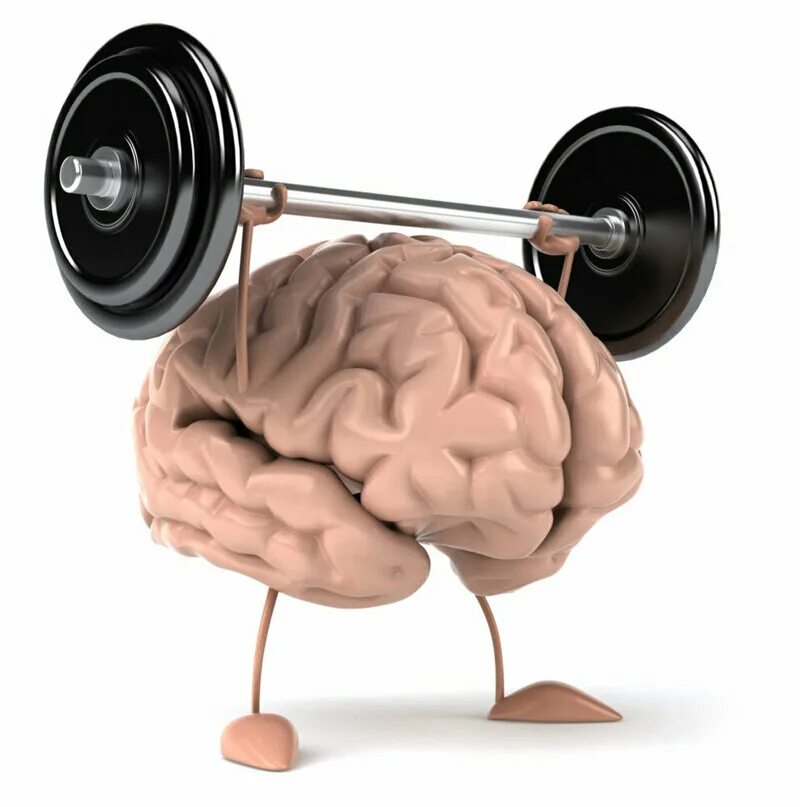 Развитие ума человека. Тренировка мозга. Умный мозг. Мозг качается. Мозг с гантелей.