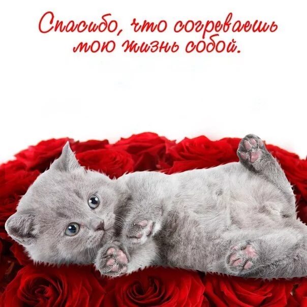 Ты мое чудо обниму