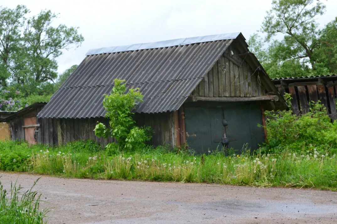 Новгородские дома дачи. Деревня верхний Прихон. Нижний Прихон Шимский район. Великий Новгород Шимский район. Верхний Прихон Новгородская область.