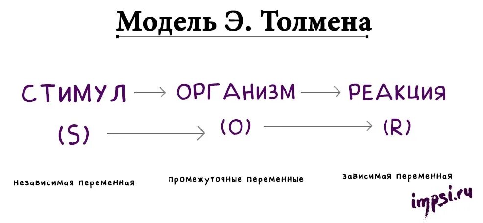 Между стимулом и реакцией. Стимул промежуточная переменная реакция. Схема стимул реакция. Стимул-реакция бихевиоризм. Стимул реакция в психологии бихевиоризм.