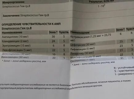 Мазок в 30 недель беременности
