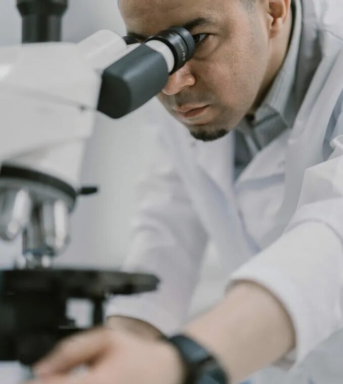 Биотехнологический факультет москва. Итмо биоинженерия. Биотехнические системы и технологии. Итмо биоинженерия. Итмо биоинженерия.