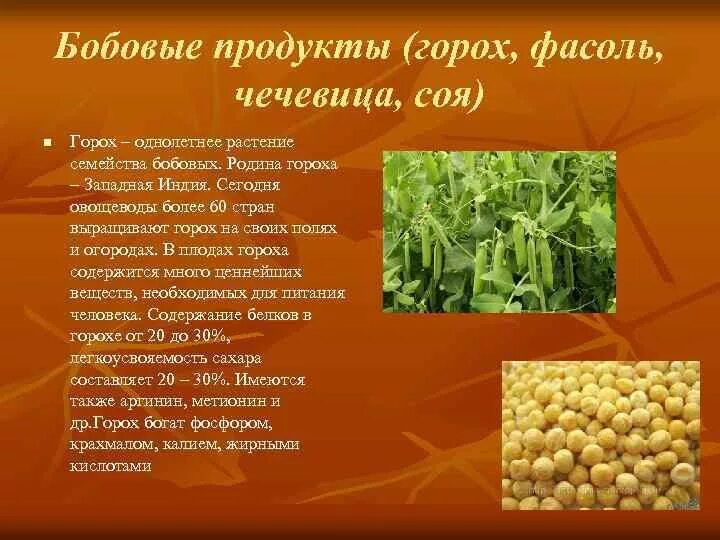 Горохов родина. Бобовые продукты горох. Родина бобовых. Соя и горох. Родина гороха.