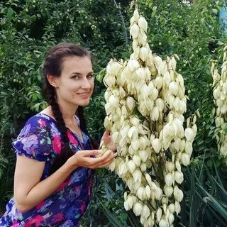 Цветок ана