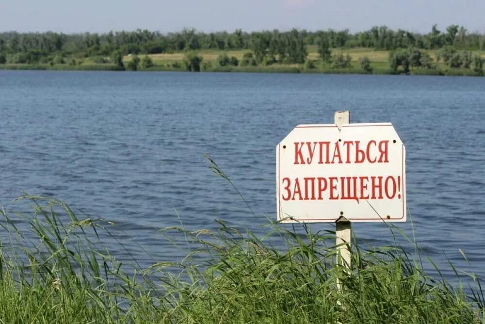 Купаться запрещено картинки