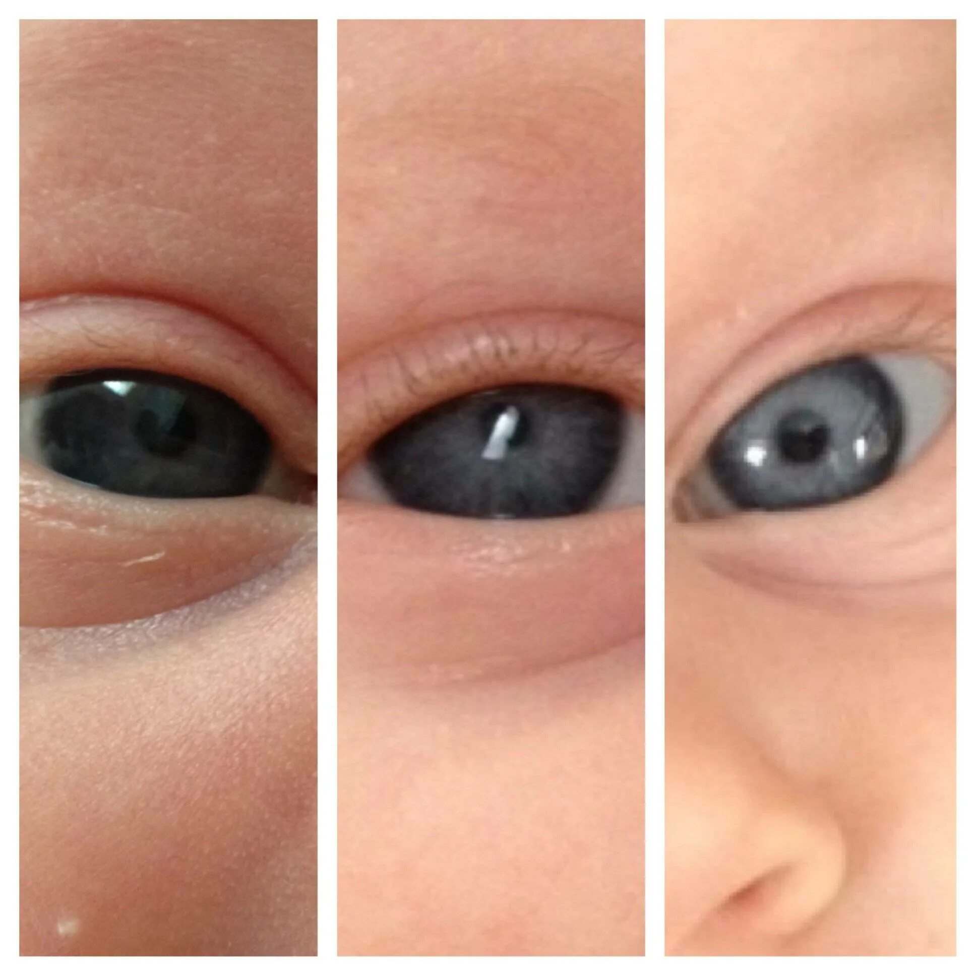 Почему у новорожденного глазки. Глаза у новорожденных. Цвет глаз у новорожденных. Глаза новорожденного ребенка. Карие глаза у новорожденного.