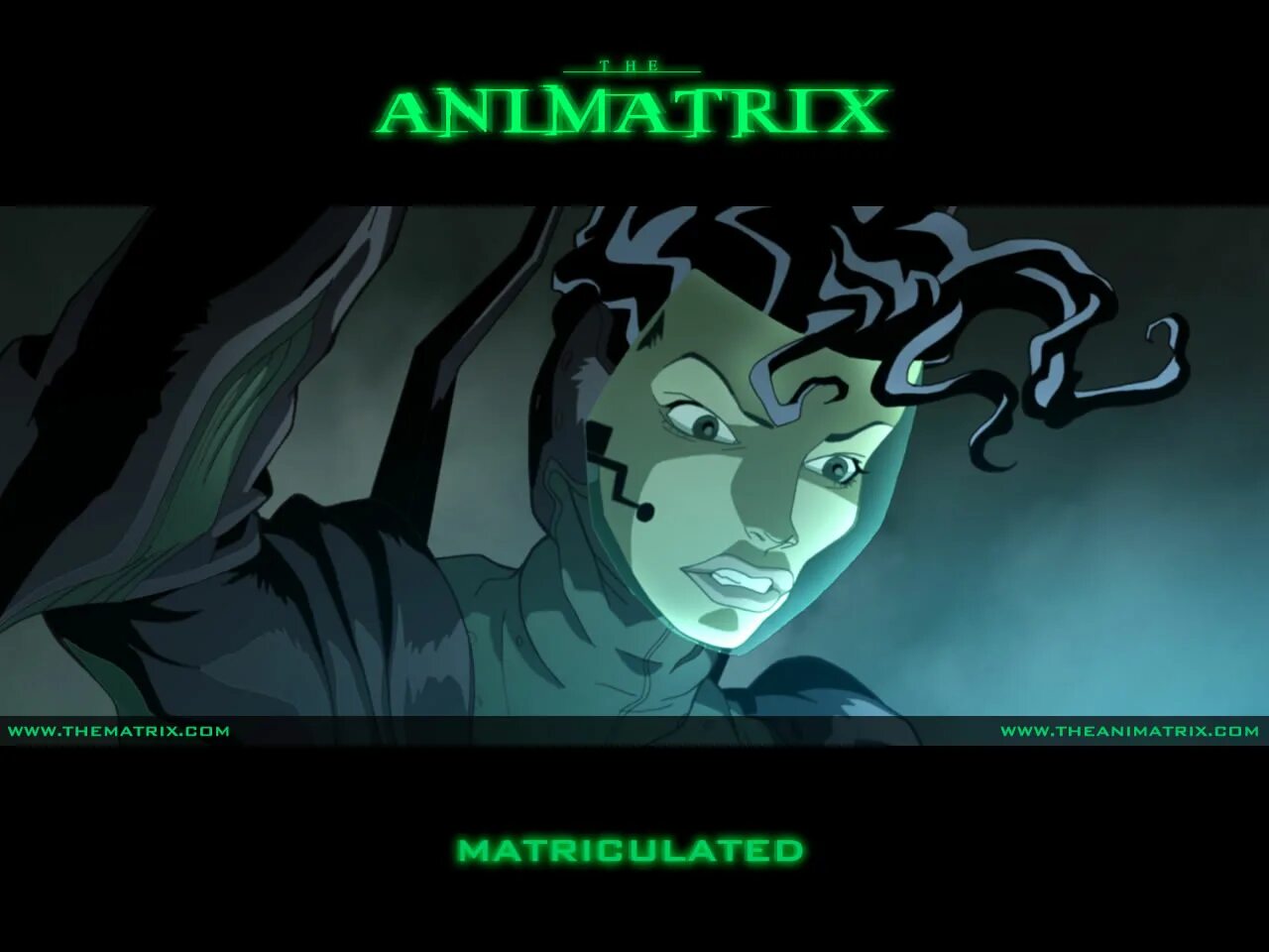 Аниматрица. Animatrix the Matrix. Сис Аниматрица. Animatrix