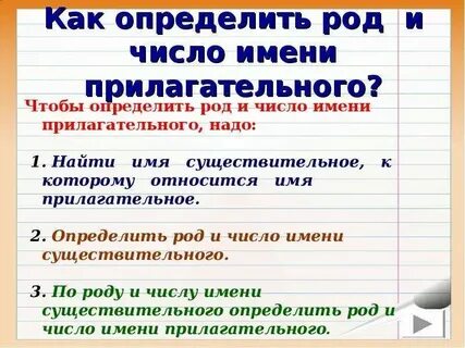 Род прилагательного во множественном числе как определить