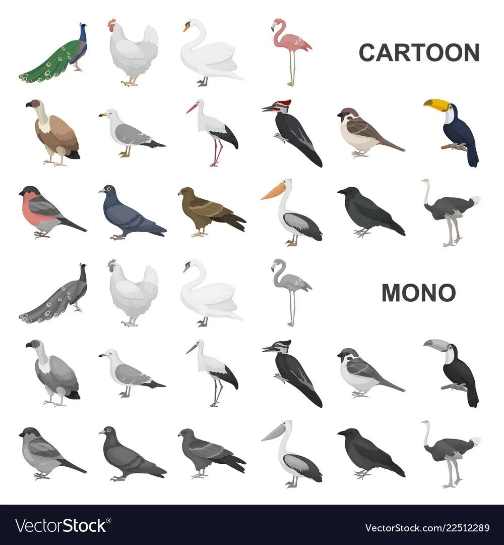 Types of Birds. Seed Types for Birds. Штош птичка typefile: PNG.