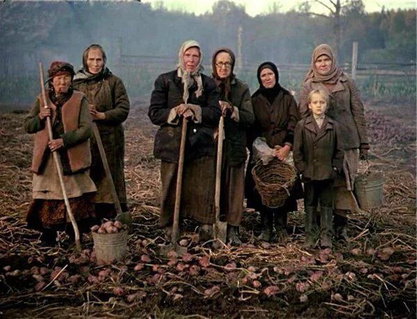 Богодул прощание с матерой характеристика. Повесть прощание с матерой. Прощание с матерой символы. В г распутин прощание с матерой. Образы старух в прощание с матерой.