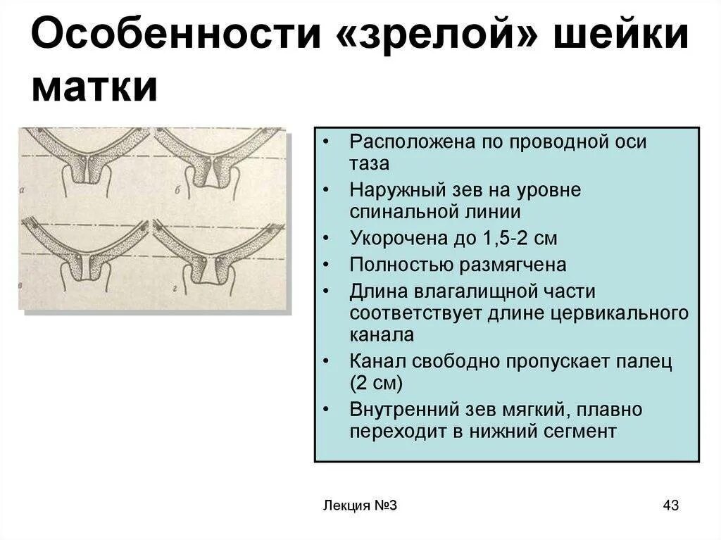 Лекарство для раскрытия шейки матки. Шейка готова к родам. 39 недель раскрытие палец