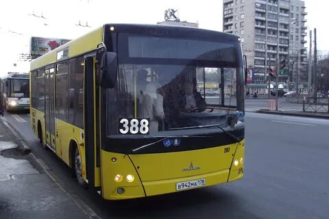 Автобус 207 спб