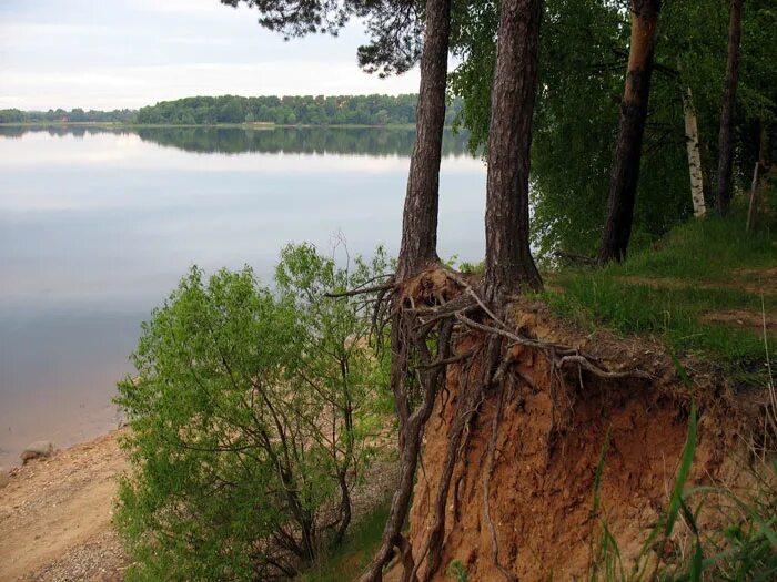 Муратовские берега. Абразия водохранилищ. Берег водохранилища. Переработка берегов водохранилищ. Абразия озер.