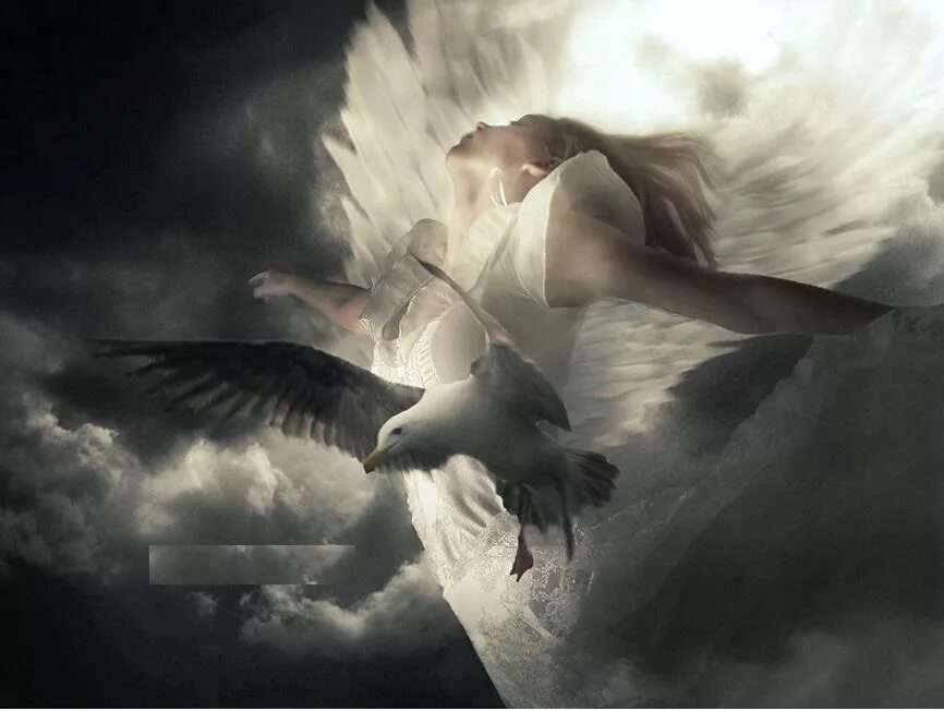 Душа вольная песня текст. Ангел с расправленными крыльями. Женщина с крыльями. Улетающий ангел. Ангел небес.