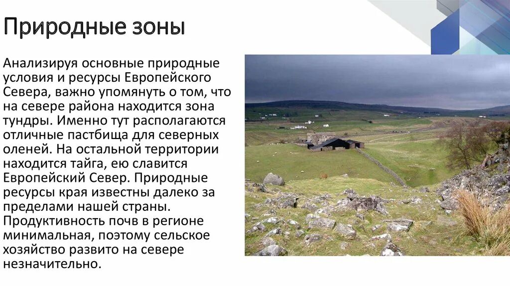 Природные зоны европейского севера. Природные зоны европейского севера России. Породные зоны европейского севера. Биологические ресурсы европейского севера.