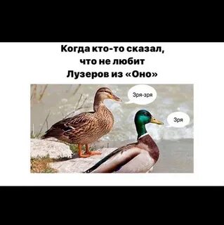Зря