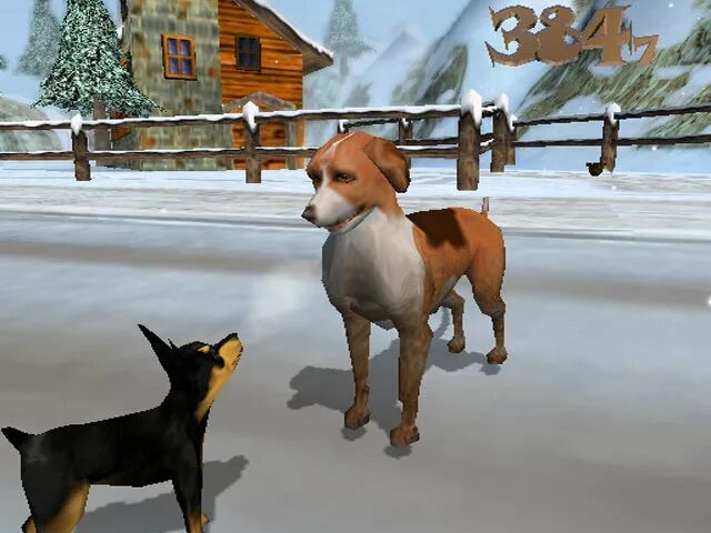 Пес лайф. Dogs Life ps2. Компьютерная игра с собакой. World of Dogs игра. Игра догс 2 собака.