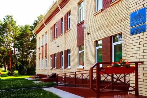 Медоснова солнечный