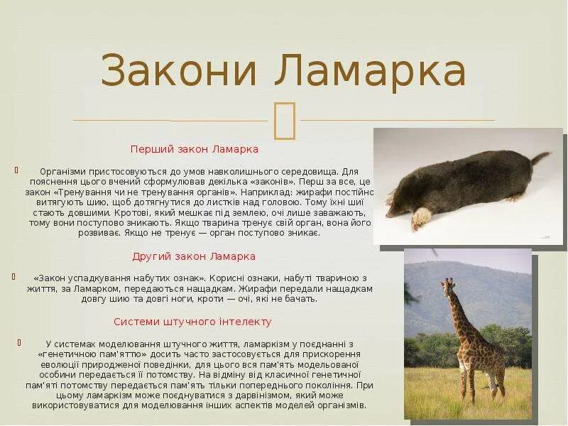 Закон наследования благоприобретенных признаков. Б. Закон наследования благоприобретенных признаков. Закон наследования благоприобретенных признаков. Порядок теорий эволюции.