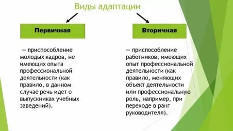 Наиболее краткой по времени протекания является адаптация
