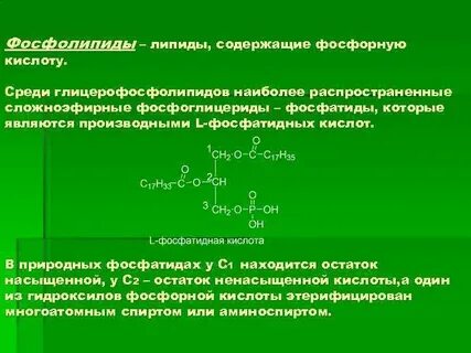 Какое вещество содержит сложноэфирную группировку атомов