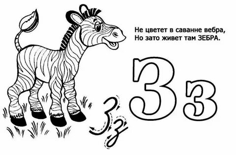 Живая азбука животных