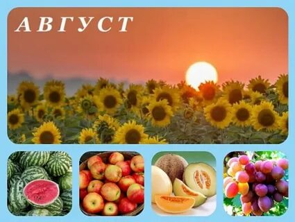 Август это 7 месяц