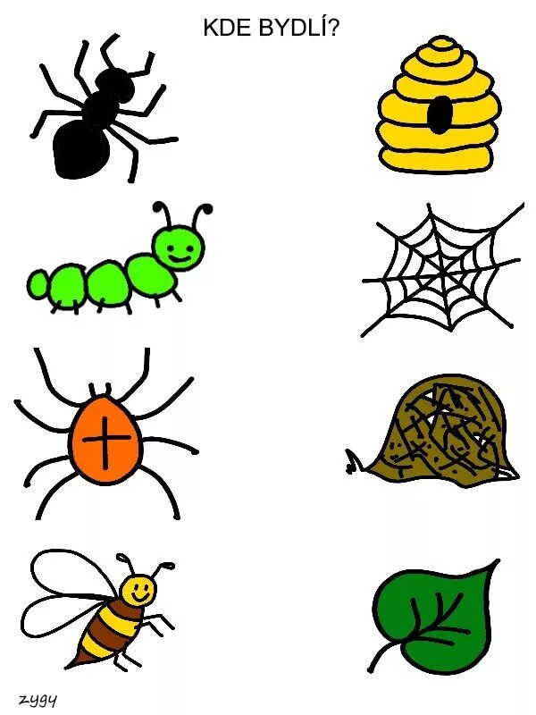 Насекомые задания для дошкольников. Насекомые занятие для дошкольников. Занятие с малышами насекомые. Задания по теме насекомые для дошкольников.