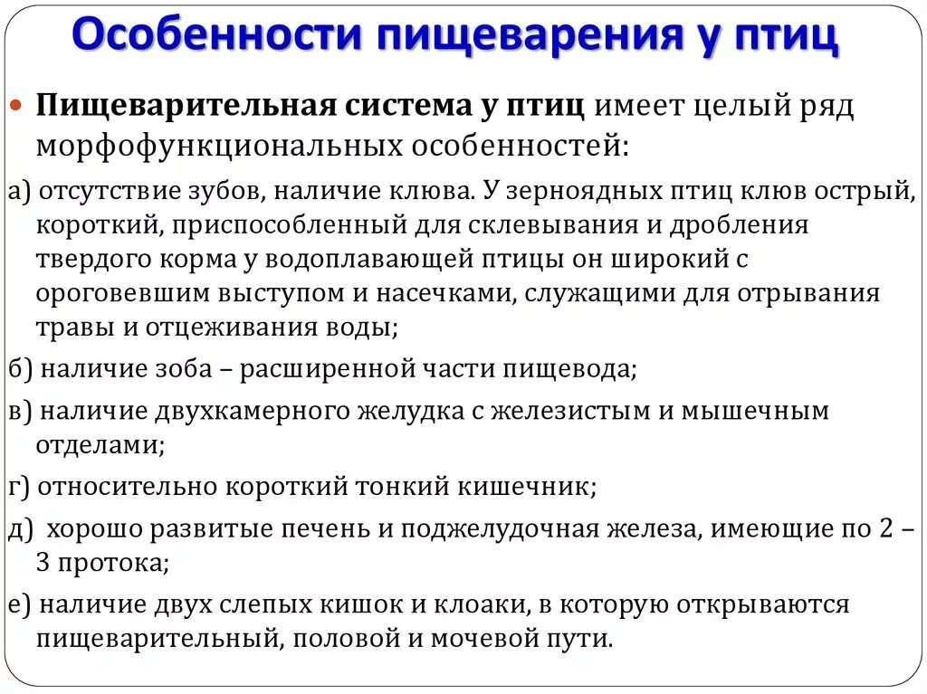 Особенности пищеварения у птиц. Характеристика пищеварительной системы птиц. Особенности пищеварительной системы у птиц кратко. Строение пищеварительной системы птиц. Пищеварительная система характеристика кратко