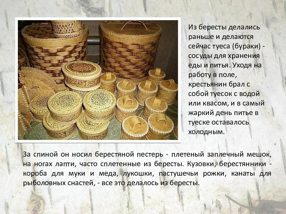 Лексическое значение береста