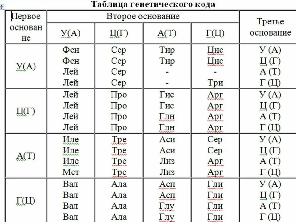 Исследования показали что в ирнк содержится 34