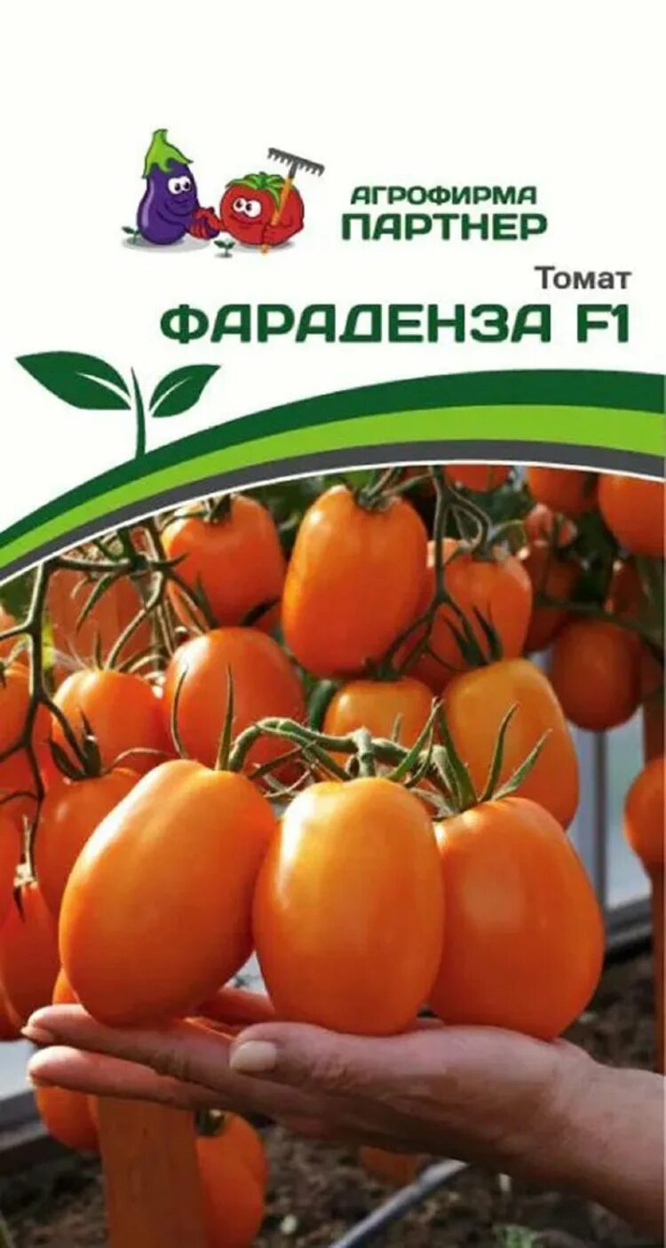 Партнер ф1 томат. Томат партнёр семко. Партнер томат лимеренс f1. Томат пинк харвест. Семена томат верочка f1.