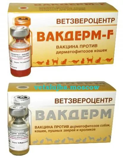Вакдерм для кошек. Вакдерм мазь для собак. вакдерм вакцина для котят. вакдерм для животных в уколах. вакдерм вакцина лишай.