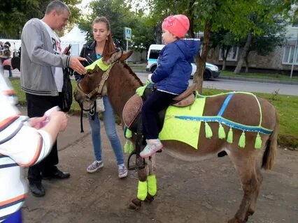 Кони пони клуб