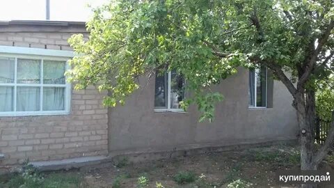 Погода крючковка оренбургская область беляевский