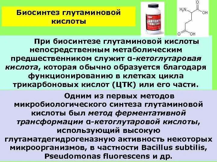 Биосинтез глутаминовой кислоты. Глутаминовая кислота Синтез. Цикл глутаминовой кислоты. Пути синтеза глутаминовой кислоты.