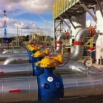 Невское пхг. Невское пхг