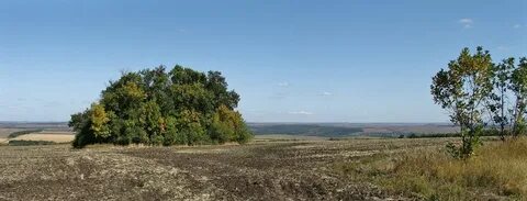 Краснодарский балка