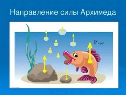 Величина силы архимеда