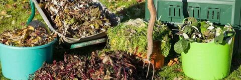 Грибы препятствуют разложению растительных остатков в лесу