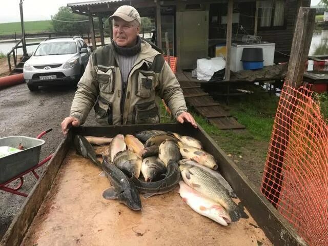 Добрый клев юсупово. Юсупово платная рыбалка. Рыба платник. Платная рыбалка Юсупово в Подмосковье. Платная рыбалка в Домодедово.