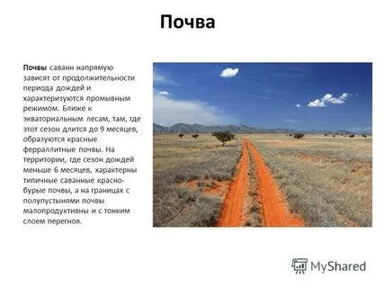 Характеристика красных почв