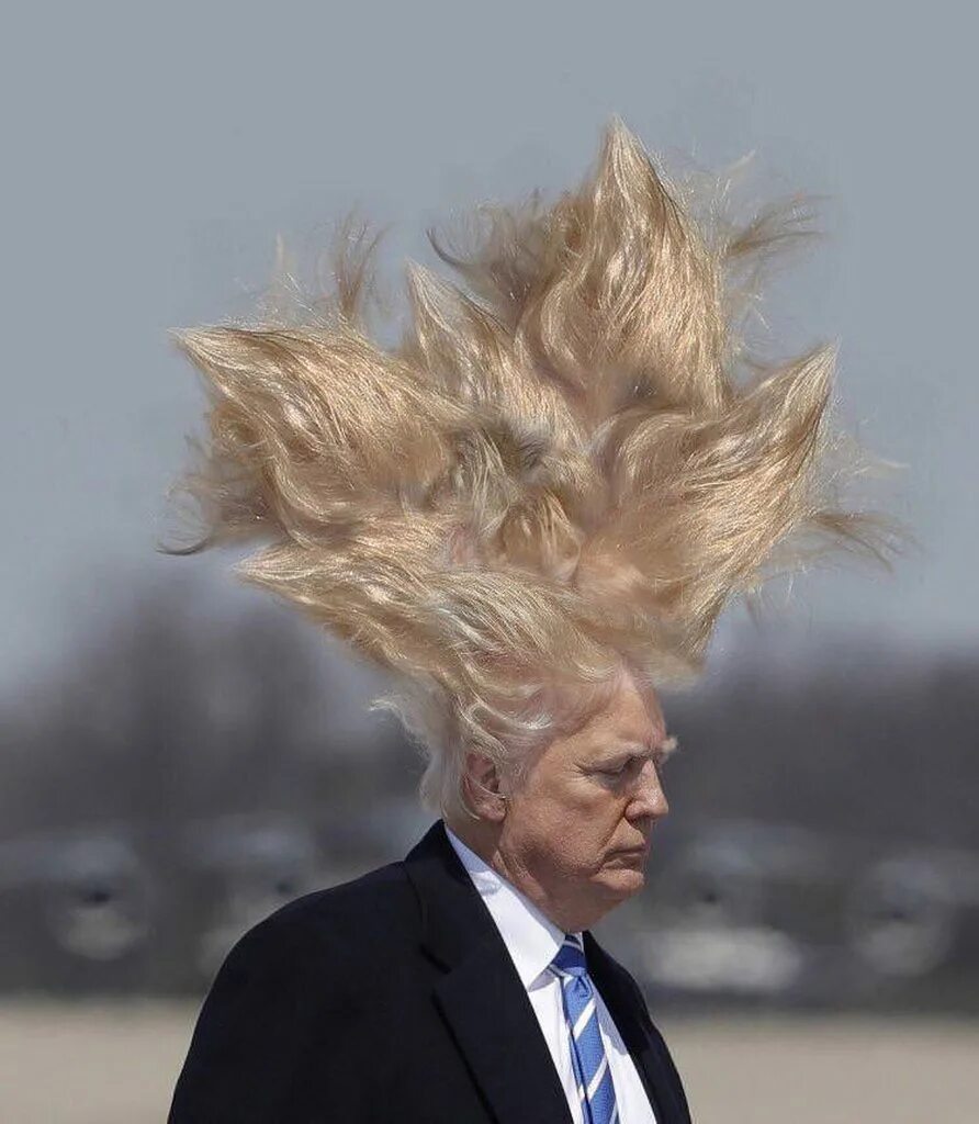 Весь день дул сильный ветер. Волосы дыбом от ветра. Волосы дыбом прическа. Сильный ветер. Прическа на ветру.