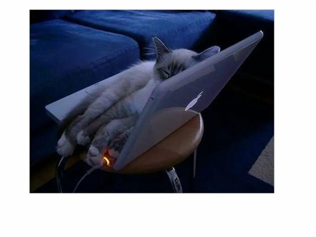 Наконец то разблокировали инстаграм. Давай выйдем из сети. Давай выйдем из сети. Давай выйдем из сети. Давай выйдем из сети.